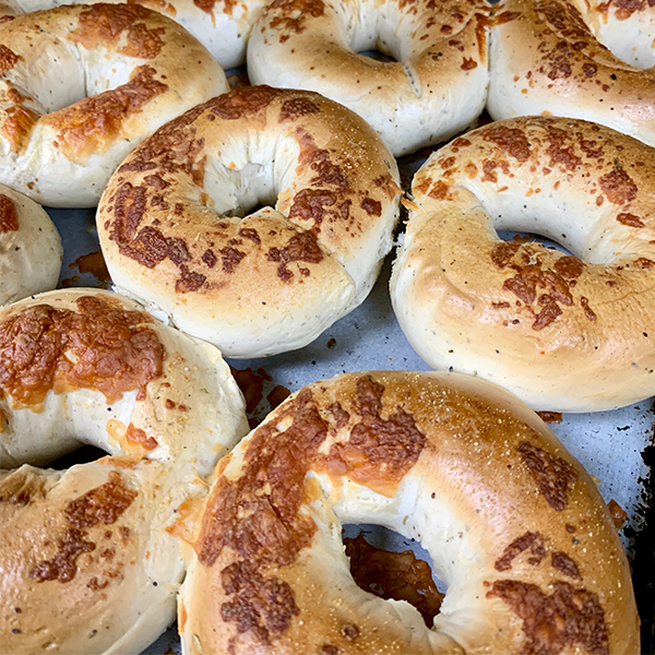 Do You Toast Bagels or Eat Them Fresh in Boca Raton?